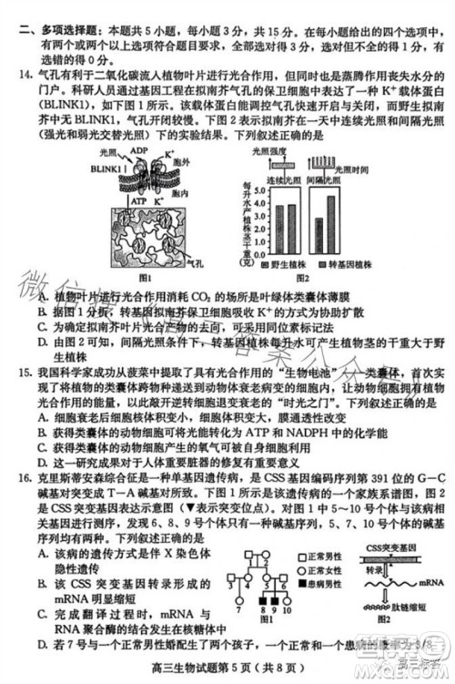 保定市2024届高三10月份摸底考试生物试题答案 保定市2024届高三10月份摸底考试生物试题答案