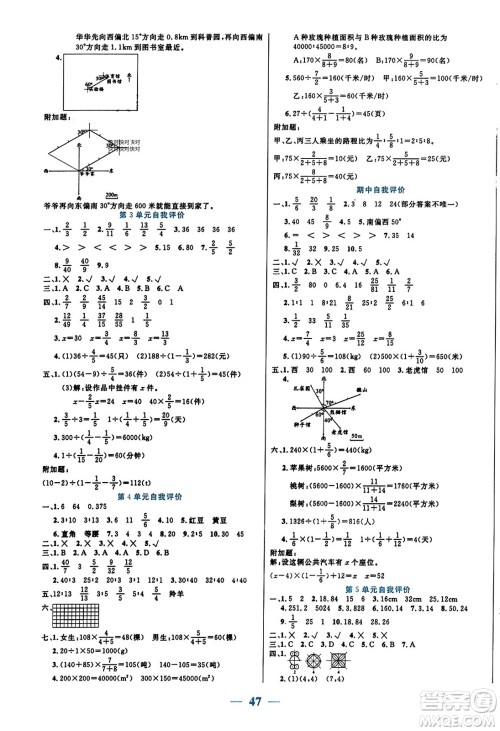 阳光出版社2023年秋激活思维智能训练六年级数学上册人教版答案