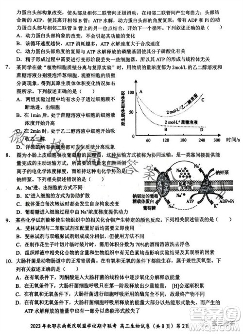 2023年秋鄂东南省级示范高中教育教学改革联盟学校期中联考高三生物试题答案