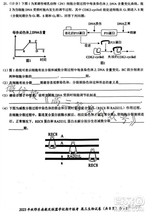 2023年秋鄂东南省级示范高中教育教学改革联盟学校期中联考高三生物试题答案 2023年秋鄂东南省级示范高中教育教学改革联盟学校期中联考高三生物试题答案
