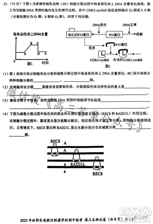 2023年秋鄂东南省级示范高中教育教学改革联盟学校期中联考高三生物试题答案