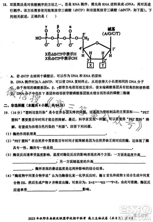 2023年秋鄂东南省级示范高中教育教学改革联盟学校期中联考高三生物试题答案