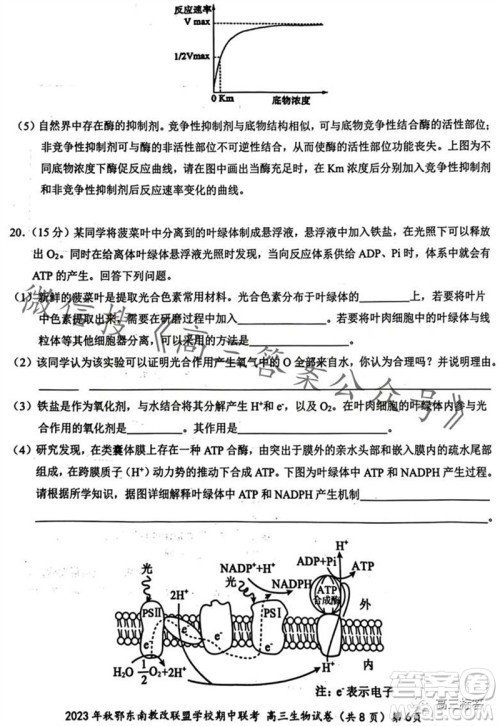 2023年秋鄂东南省级示范高中教育教学改革联盟学校期中联考高三生物试题答案