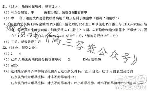 2023年秋鄂东南省级示范高中教育教学改革联盟学校期中联考高三生物试题答案