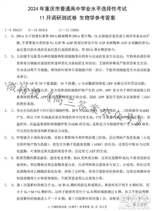 2024年普通高等学校招生全国统一考试11月调研测试卷重庆康德卷生物答案 2024年普通高等学校招生全国统一考试11月调研测试卷重庆康德卷生物答案
