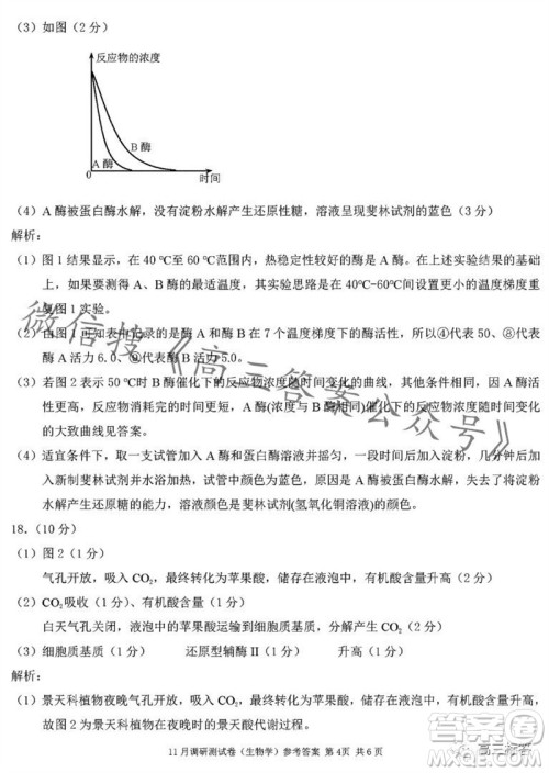 2024年普通高等学校招生全国统一考试11月调研测试卷重庆康德卷生物答案 2024年普通高等学校招生全国统一考试11月调研测试卷重庆康德卷生物答案
