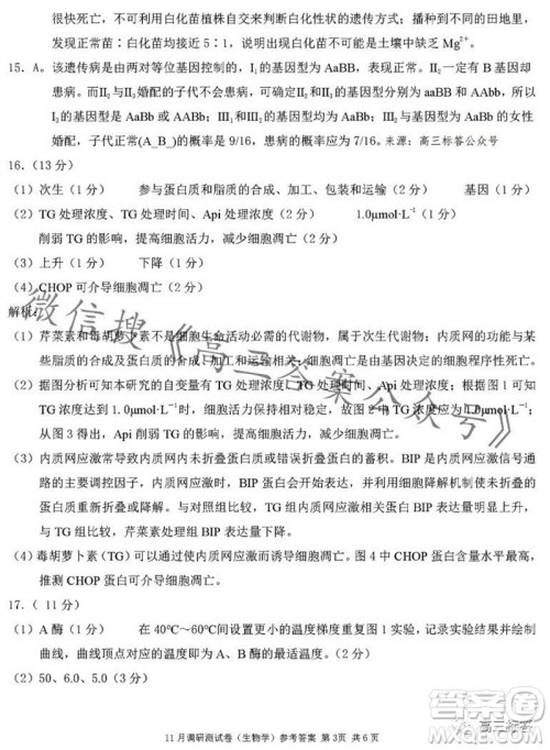 2024年普通高等学校招生全国统一考试11月调研测试卷重庆康德卷生物答案 2024年普通高等学校招生全国统一考试11月调研测试卷重庆康德卷生物答案