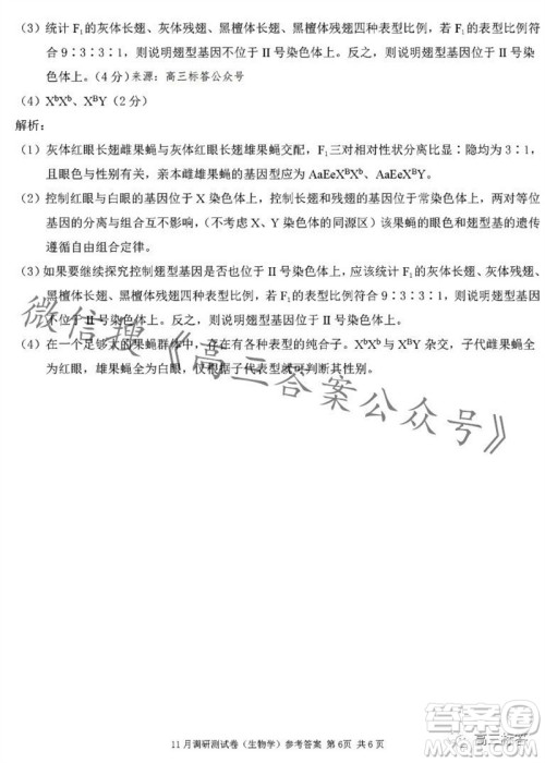 2024年普通高等学校招生全国统一考试11月调研测试卷重庆康德卷生物答案 2024年普通高等学校招生全国统一考试11月调研测试卷重庆康德卷生物答案