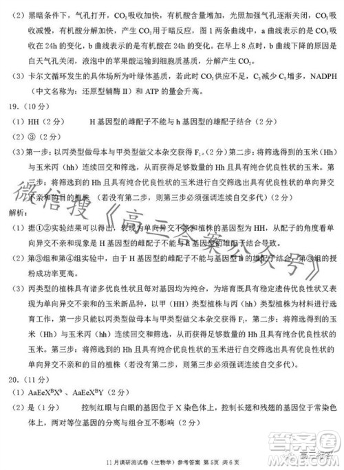 2024年普通高等学校招生全国统一考试11月调研测试卷重庆康德卷生物答案 2024年普通高等学校招生全国统一考试11月调研测试卷重庆康德卷生物答案