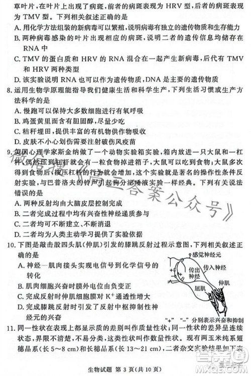 2023年11月湘豫名校联考高三一轮复习诊断考试二生物试题答案 2023年11月湘豫名校联考高三一轮复习诊断考试二生物试题答案