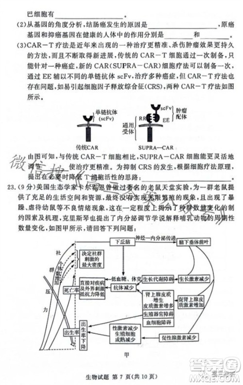 2023年11月湘豫名校联考高三一轮复习诊断考试二生物试题答案 2023年11月湘豫名校联考高三一轮复习诊断考试二生物试题答案