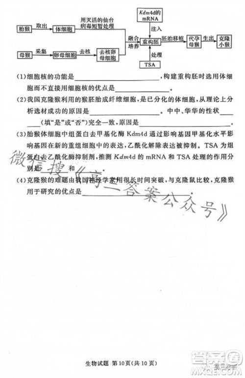 2023年11月湘豫名校联考高三一轮复习诊断考试二生物试题答案 2023年11月湘豫名校联考高三一轮复习诊断考试二生物试题答案