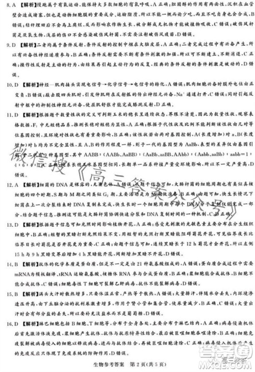 2023年11月湘豫名校联考高三一轮复习诊断考试二生物试题答案 2023年11月湘豫名校联考高三一轮复习诊断考试二生物试题答案