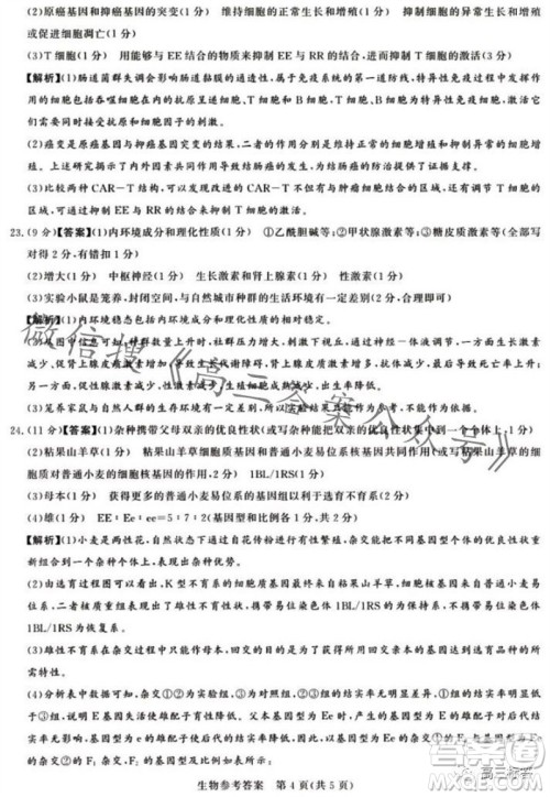2023年11月湘豫名校联考高三一轮复习诊断考试二生物试题答案 2023年11月湘豫名校联考高三一轮复习诊断考试二生物试题答案