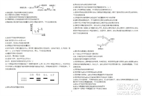 2024届山东省高三年级适应性联考一生物试题答案 2024届山东省高三年级适应性联考一生物试题答案