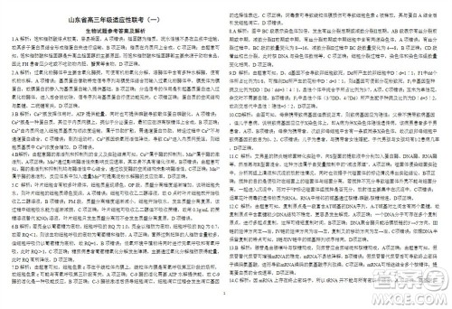 2024届山东省高三年级适应性联考一生物试题答案 2024届山东省高三年级适应性联考一生物试题答案
