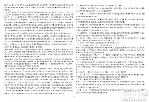 2024届山东省高三年级适应性联考一生物试题答案 2024届山东省高三年级适应性联考一生物试题答案