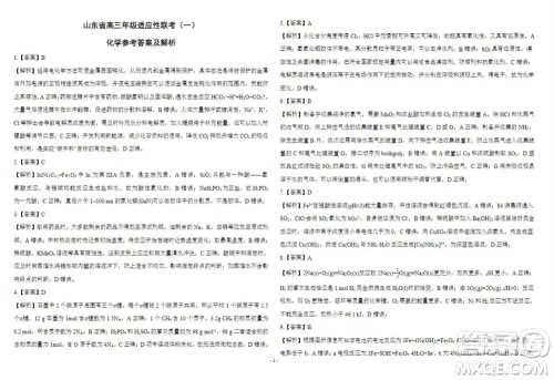 2024届山东省高三年级适应性联考一化学试题答案 2024届山东省高三年级适应性联考一化学试题答案