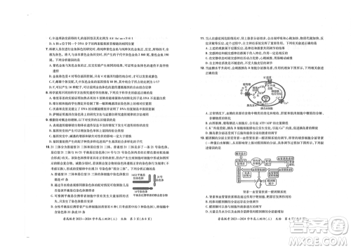河南省普高联考2023-2024学年高三测评三生物试卷答案 河南省普高联考2023-2024学年高三测评三生物试卷答案