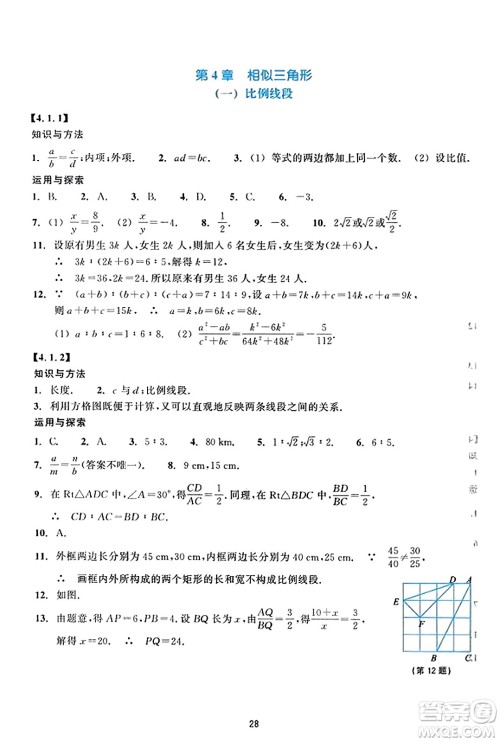 浙江教育出版社2023年秋学能评价九年级数学上册通用版答案