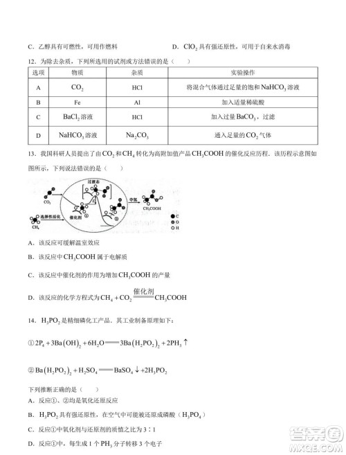 新高中创新联盟TOP二十名校2023-2024学年高一上学期11月调研化学试题答案