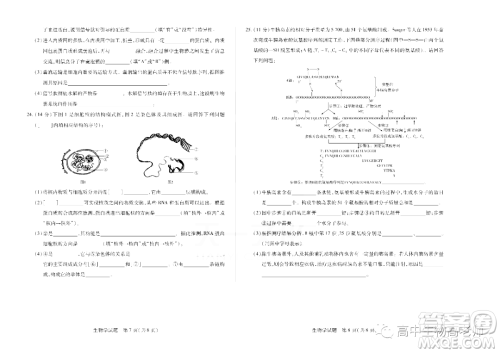 天一大联考2022-2023学年高一上学期期中考试试题生物试卷答案