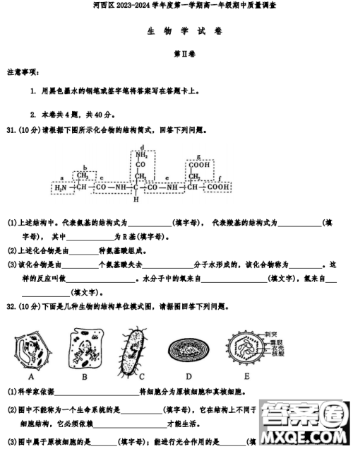 天津市河西区2023-2024高一上期中考试生物试题及答案