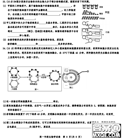 天津市河西区2023-2024高一上期中考试生物试题及答案