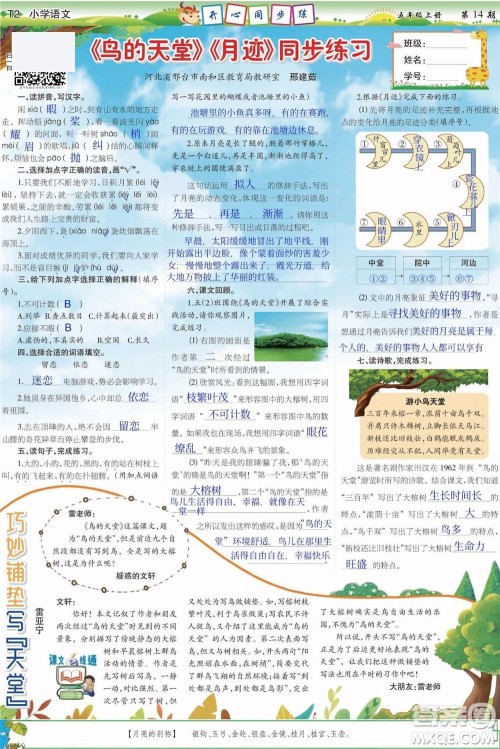 2023年秋少年智力开发报五年级语文上册人教版第13-16期答案