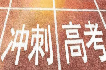 2024届普通高等学校招生全国统一考试青桐鸣高三11月大联考数学试题答案 2024届普通高等学校招生全国统一考试青桐鸣高三11月大联考数学试题答案