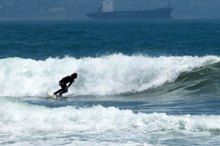 弄潮儿向涛头立材料作文800字 关于弄潮儿向涛头的立材料作文800字 弄潮儿向涛头立材料作文800字 关于弄潮儿向涛头的立材料作文800字