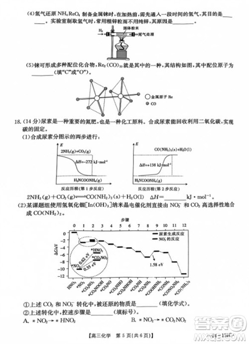 2024届辽宁省高三年级11月金太阳联考24-131C化学试题答案 2024届辽宁省高三年级11月金太阳联考24-131C化学试题答案