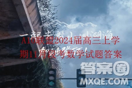 A10联盟2024届高三上学期11月段考数学试题答案 A10联盟2024届高三上学期11月段考数学试题答案