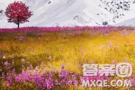 自然的东西大都是缓慢材料作文800字 关于自然的东西大都是缓慢的材料作文800字 自然的东西大都是缓慢材料作文800字 关于自然的东西大都是缓慢的材料作文800字