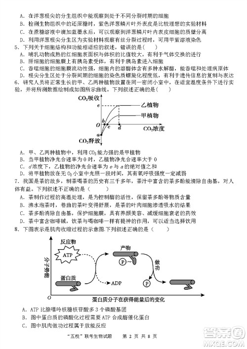 2024届福建五校协作高三上学期11月联考生物试题答案 2024届福建五校协作高三上学期11月联考生物试题答案