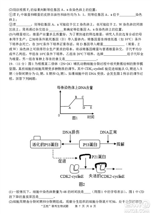 2024届福建五校协作高三上学期11月联考生物试题答案 2024届福建五校协作高三上学期11月联考生物试题答案