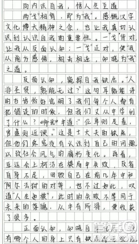 青春期认识自我是很微妙的材料作文800字