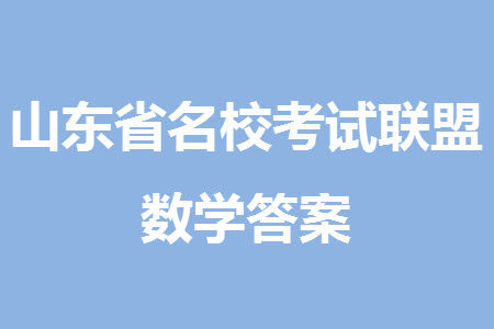 山东省名校考试联盟2023-2024学年高三上学期11月期中检测数学试题答案