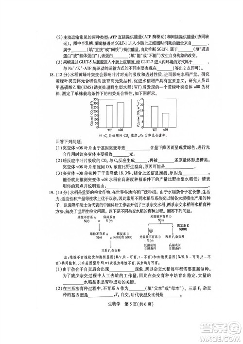 江西省稳派2024届高三11月一轮总复习调研测试生物试题答案 江西省稳派2024届高三11月一轮总复习调研测试生物试题答案