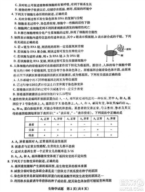 河南省天一大联考2023-2024学年高三上学期11月阶段性测试三生物试题答案