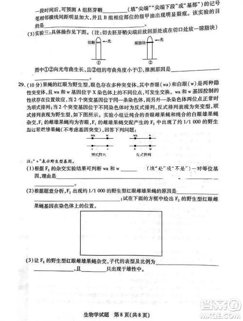 河南省天一大联考2023-2024学年高三上学期11月阶段性测试三生物试题答案