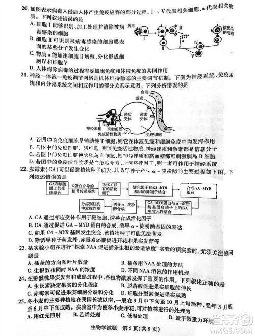 河南省天一大联考2023-2024学年高三上学期11月阶段性测试三生物试题答案