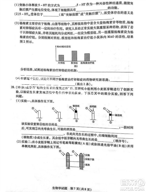 河南省天一大联考2023-2024学年高三上学期11月阶段性测试三生物试题答案