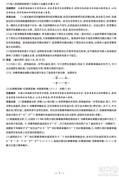 河南省天一大联考2023-2024学年高三上学期11月阶段性测试三生物试题答案