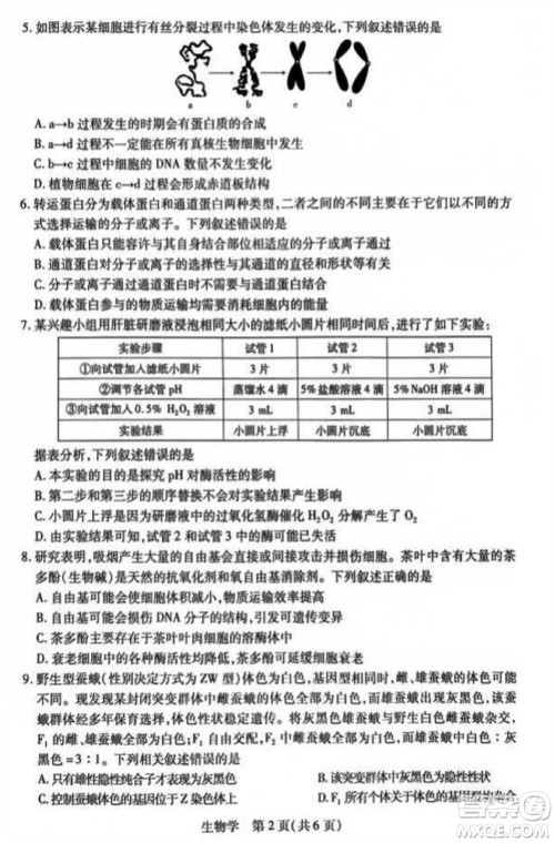 江西省稳派2024届高三11月一轮总复习调研测试生物试题答案 江西省稳派2024届高三11月一轮总复习调研测试生物试题答案