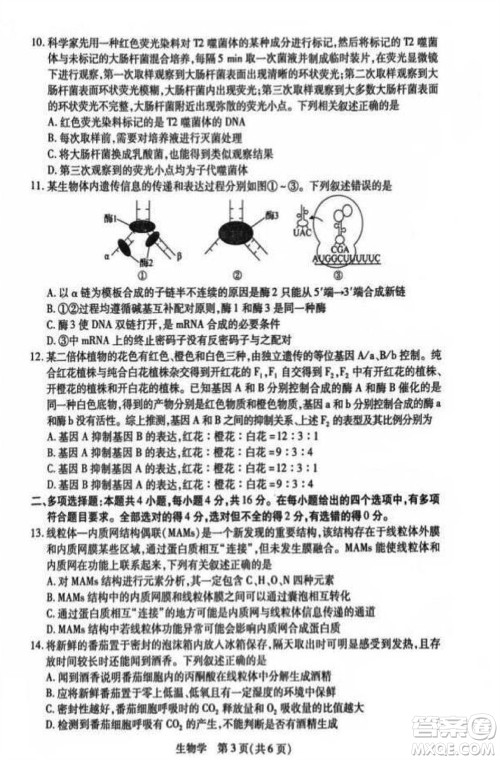江西省稳派2024届高三11月一轮总复习调研测试生物试题答案 江西省稳派2024届高三11月一轮总复习调研测试生物试题答案