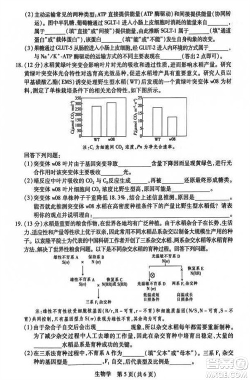 江西省稳派2024届高三11月一轮总复习调研测试生物试题答案 江西省稳派2024届高三11月一轮总复习调研测试生物试题答案