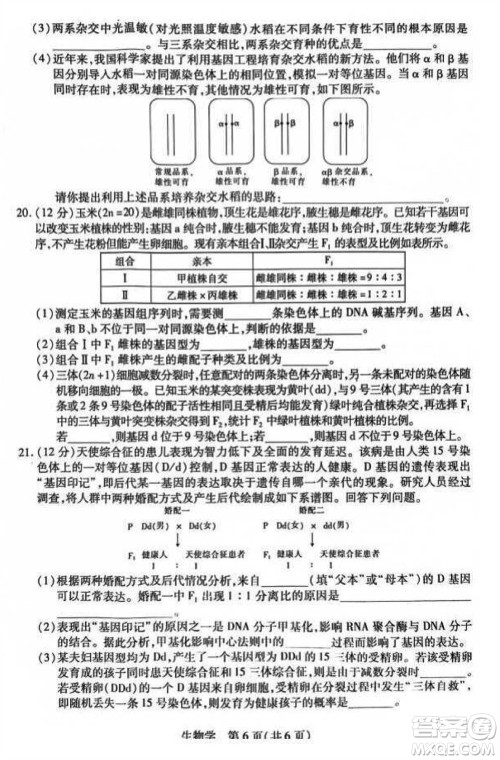 江西省稳派2024届高三11月一轮总复习调研测试生物试题答案 江西省稳派2024届高三11月一轮总复习调研测试生物试题答案