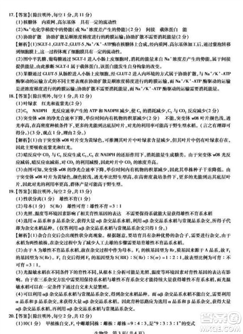 江西省稳派2024届高三11月一轮总复习调研测试生物试题答案 江西省稳派2024届高三11月一轮总复习调研测试生物试题答案