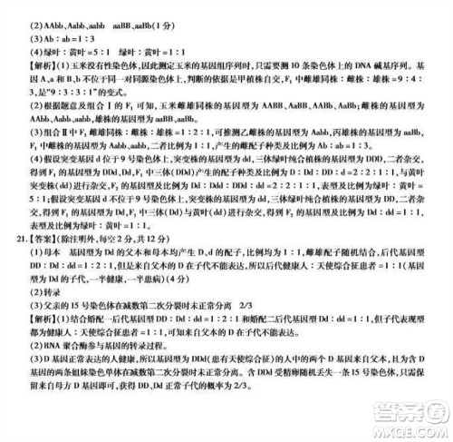 江西省稳派2024届高三11月一轮总复习调研测试生物试题答案 江西省稳派2024届高三11月一轮总复习调研测试生物试题答案